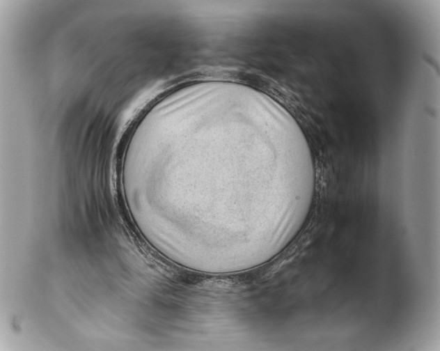 X0000102380294200808291407