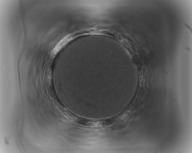 X0000102380295200808291407