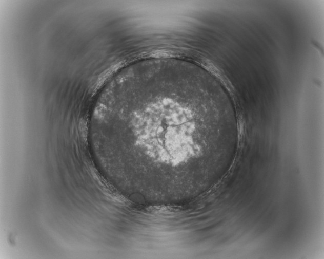 X0000102380297200808291407