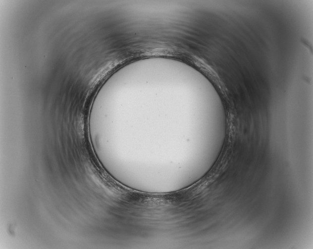 X0000102380298200808291407