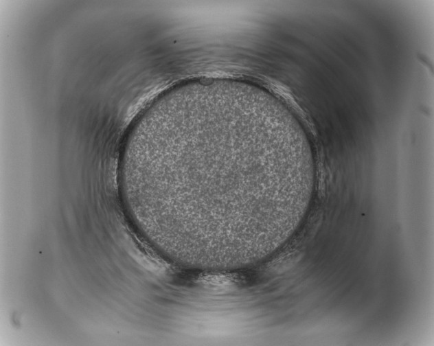 X0000102380299200808291407