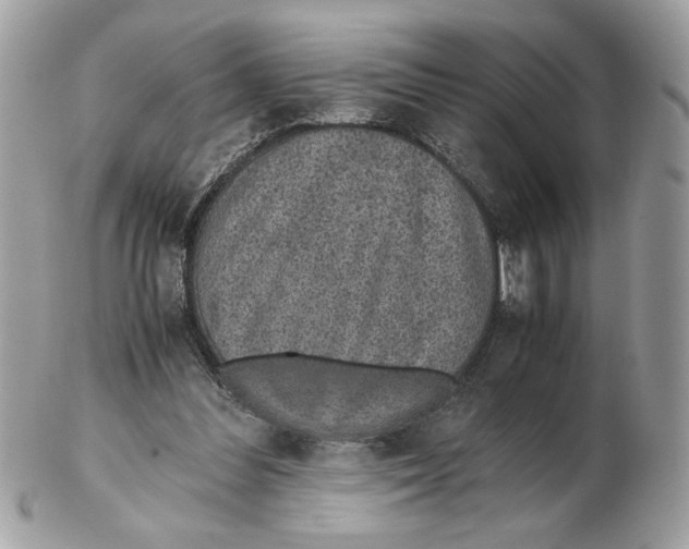 X0000102380300200808291407