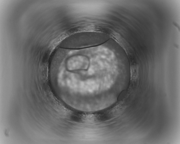 X0000102380301200808291407