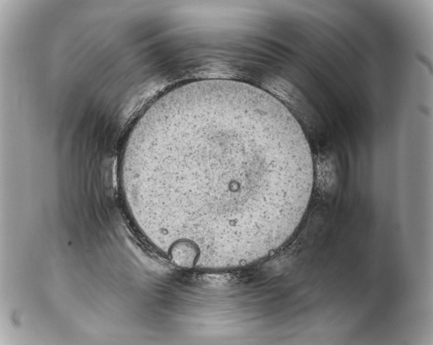 X0000102380302200808291407