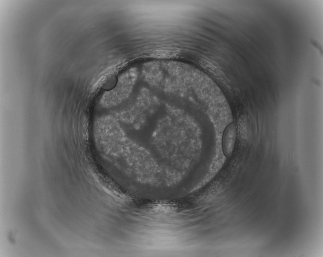 X0000102380303200808291407