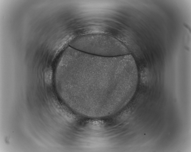 X0000102380304200808291407