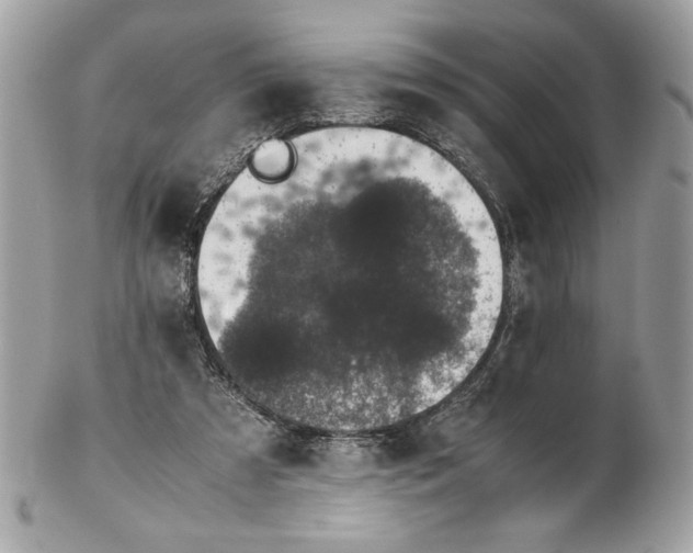 X0000102380305200808291407