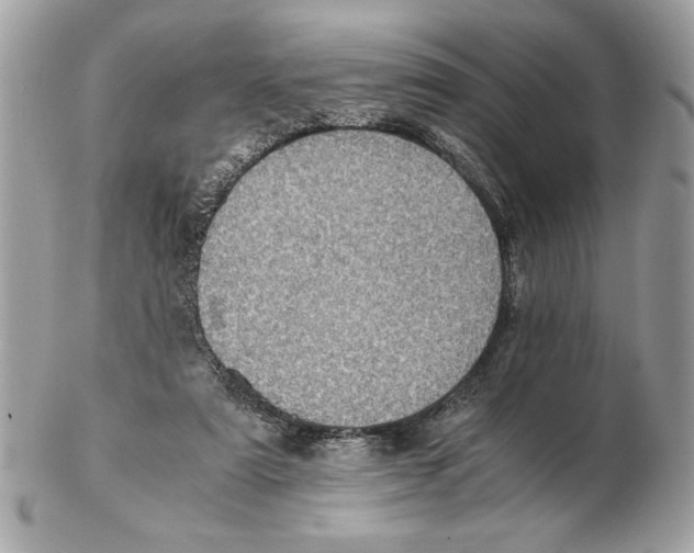 X0000102380307200808291407