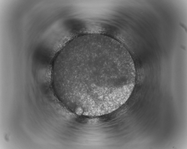 X0000102380309200808291407