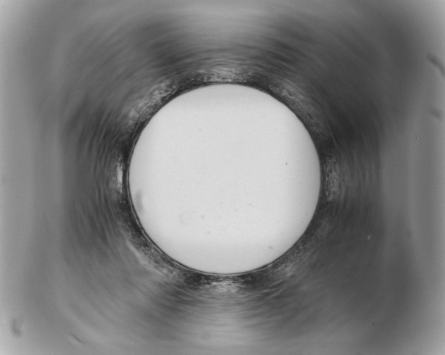 X0000102380310200808291407