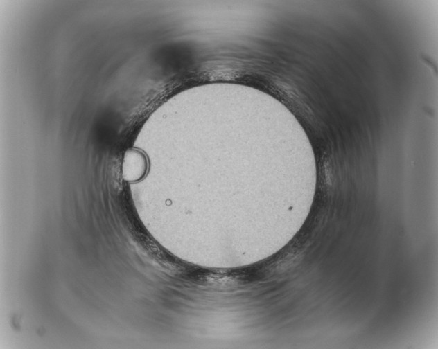 X0000102380311200808291407