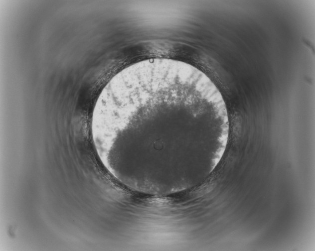 X0000102380313200808291407