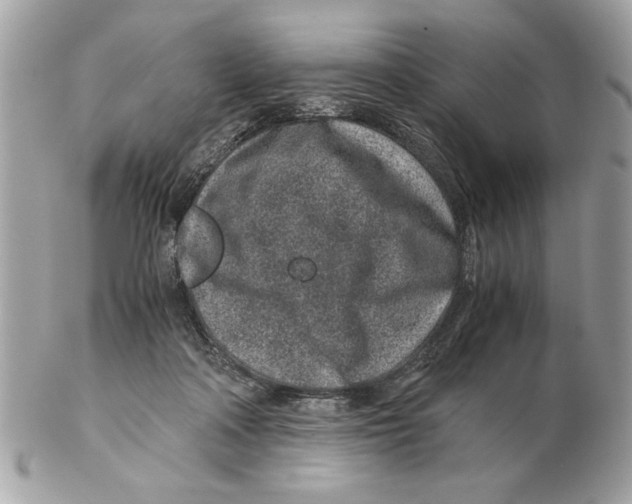 X0000102380314200808291407