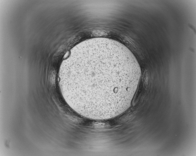 X0000102380315200808291407