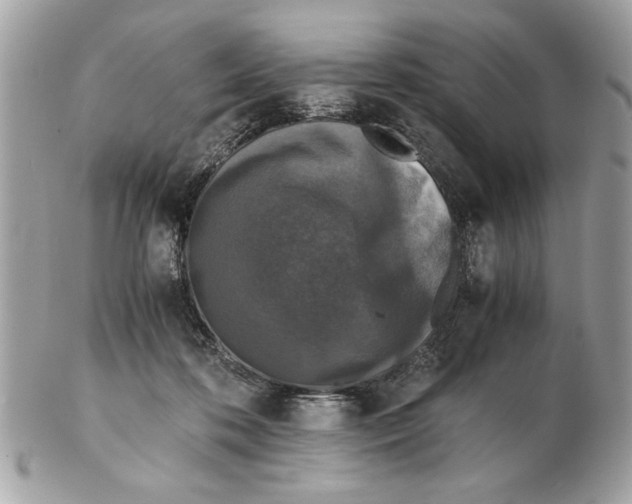 X0000102380316200808291407