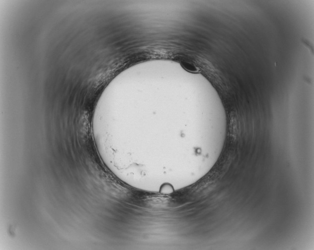 X0000102380318200808291407