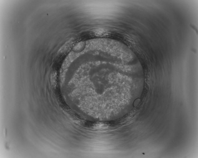 X0000102380319200808291407