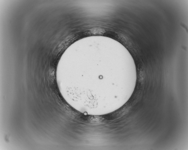 X0000102380321200808291407