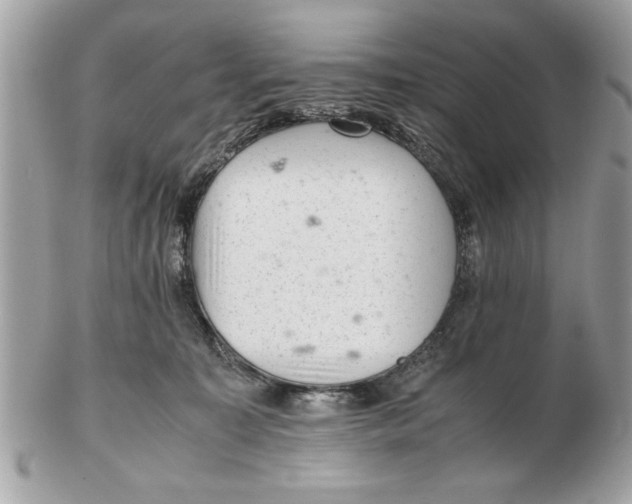 X0000102380323200808291407