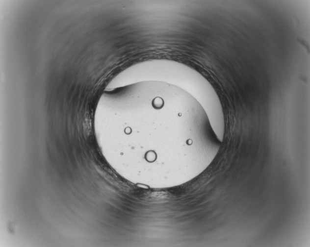 X0000102380324200808291407