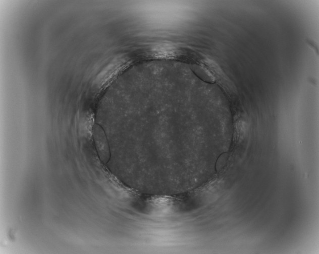 X0000102380325200808291407