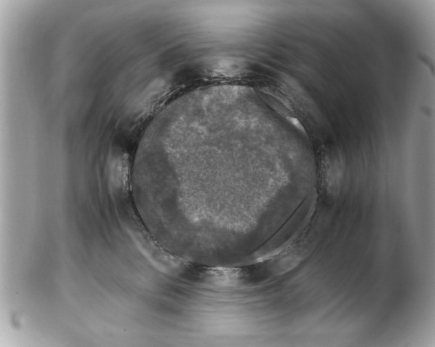 X0000102380328200808291407