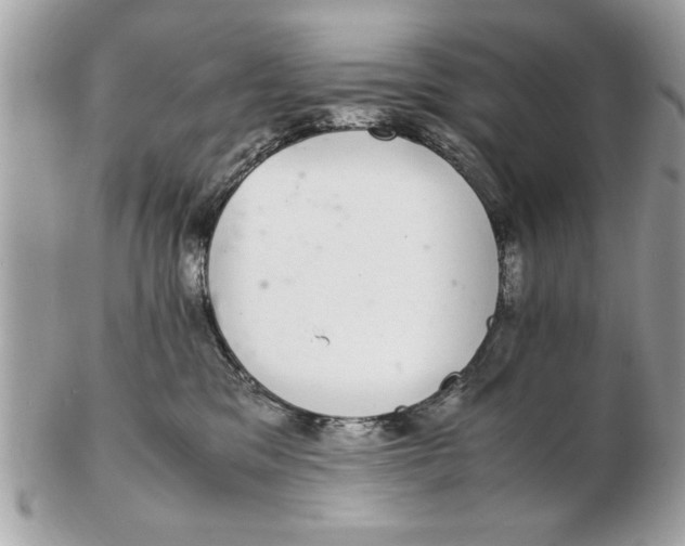 X0000102380329200808291407