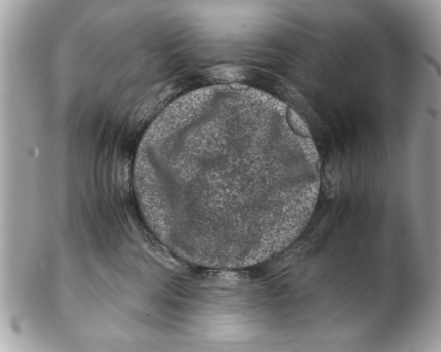 X0000102380330200808291407