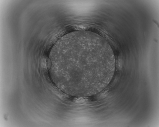 X0000102380331200808291407