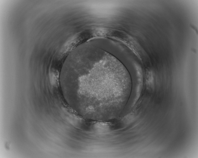 X0000102380332200808291407