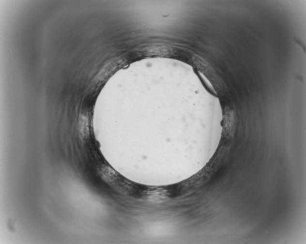 X0000102380333200808291407