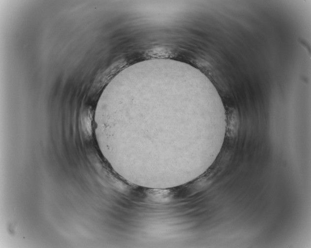 X0000102380334200808291407