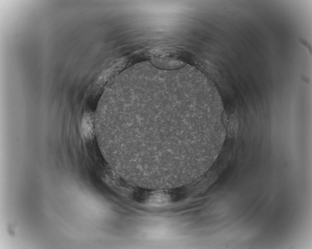 X0000102380335200808291407