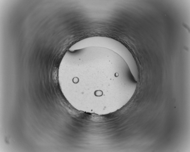 X0000102380336200808291407