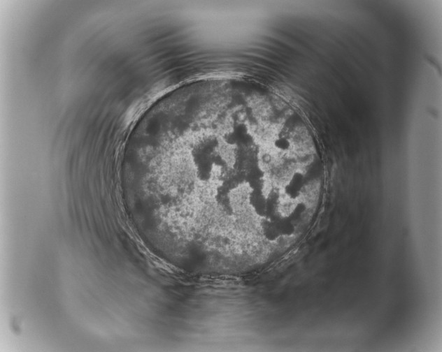 X0000102380337200808291406