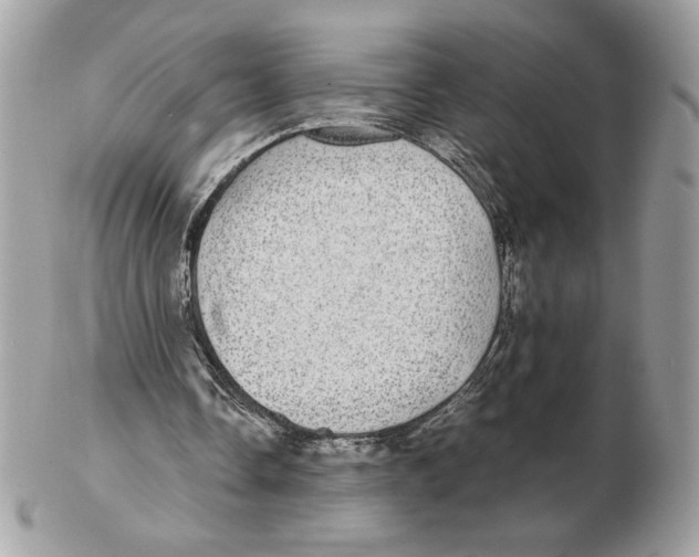 X0000102380338200808291406