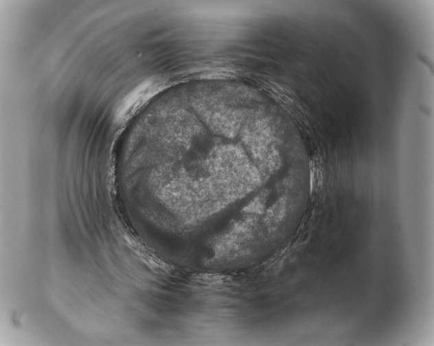 X0000102380339200808291406