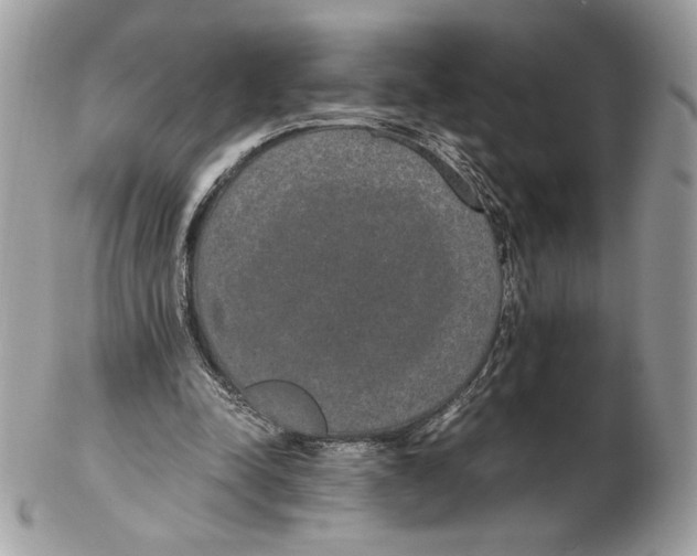 X0000102380342200808291406