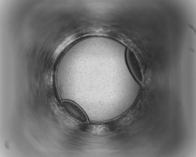 X0000102380344200808291406