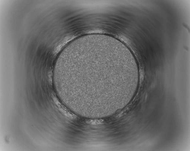 X0000102380345200808291406