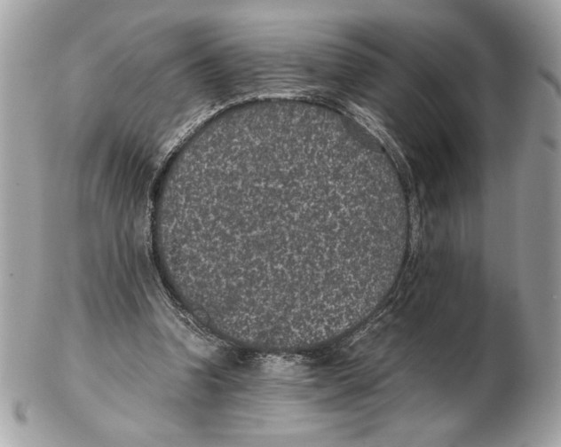 X0000102380346200808291406