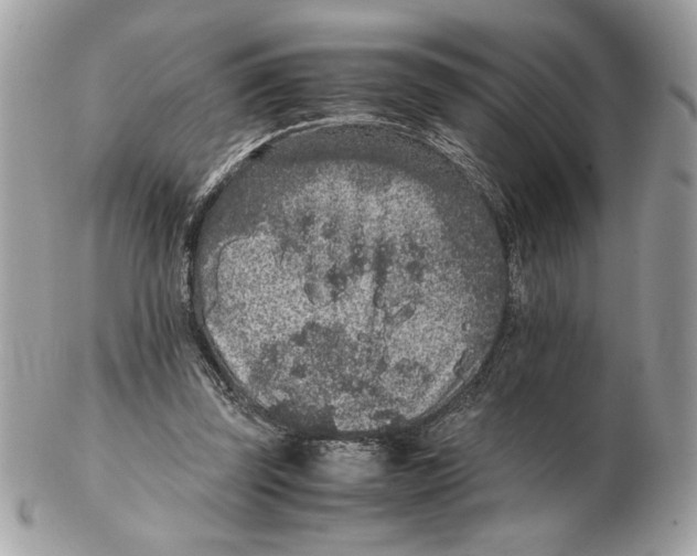 X0000102380347200808291406