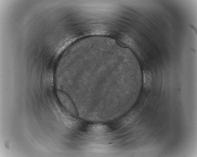 X0000102380348200808291406