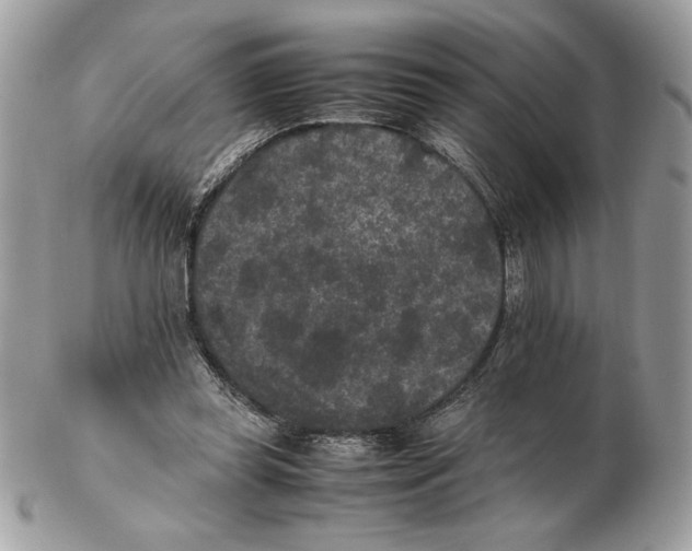 X0000102380349200808291406