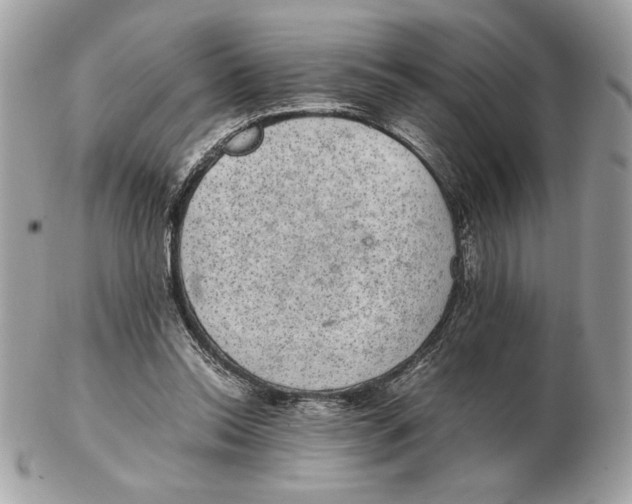 X0000102380350200808291406