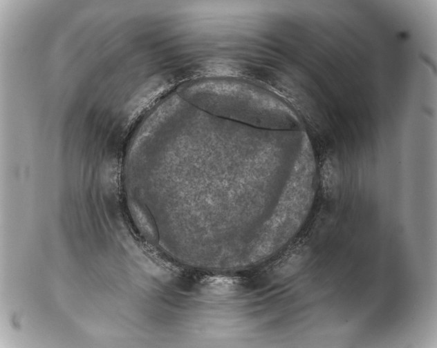 X0000102380352200808291406