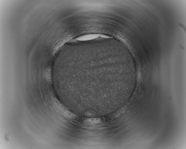 X0000102380353200808291406