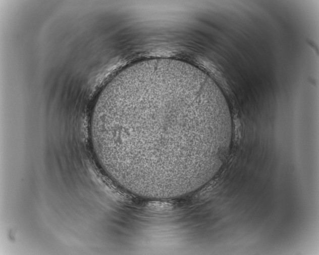 X0000102380354200808291406