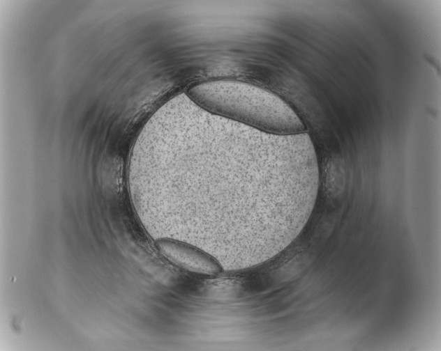 X0000102380356200808291406