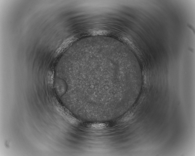 X0000102380357200808291406